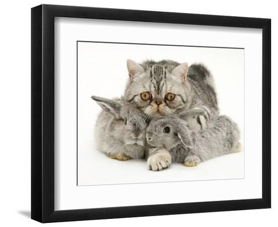 Premium Photographic Print, , large