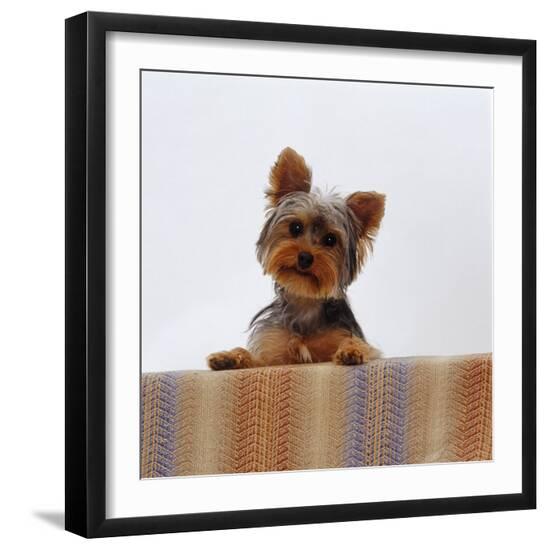 Photographic Print, , large