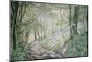 Wood Mount