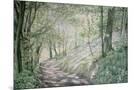 Wood Mount