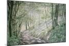 Wood Mount
