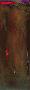 Laminate