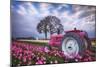 Jane Deere-Darren White Photography-Mounted Photographic Print