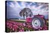 Jane Deere-Darren White Photography-Stretched Canvas
