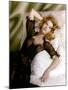 Jane Fonda dans les annees 60 (photo)-null-Mounted Photo