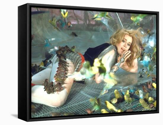 Jane Fonda is Preyed Upon by Parakeets and Finches in Scene from Roger Vadim's "Barbarella"-Carlo Bavagnoli-Framed Stretched Canvas