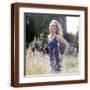Brown Frame
