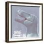 Jane Is a Fossil Specimen of Small Tyrannosaurid Dinosaur-Stocktrek Images-Framed Art Print