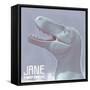 Jane Is a Fossil Specimen of Small Tyrannosaurid Dinosaur-Stocktrek Images-Framed Stretched Canvas