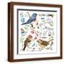 Brown Frame