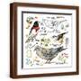 Brown Frame
