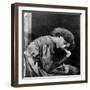 Jane Morris, Posed by Dante Gabriel Rossetti, 1865 (Albumen Print)-John R. Parsons-Framed Giclee Print