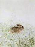 Rabbit-Jane Neville-Framed Stretched Canvas
