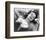 Jane Russell-null-Framed Photo