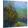 Stretched Canvas