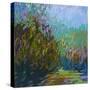Stretched Canvas