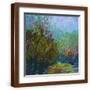 Brown Frame
