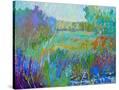Stretched Canvas