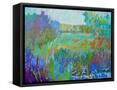 Framed Canvas