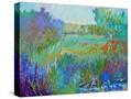 Stretched Canvas