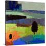 Stretched Canvas
