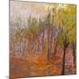Wood Mount