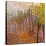 Stretched Canvas