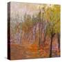 Stretched Canvas