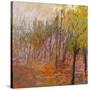 Stretched Canvas