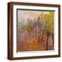 Brown Frame