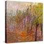 Stretched Canvas