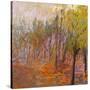 Stretched Canvas