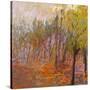 Stretched Canvas