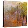 Stretched Canvas