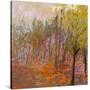 Stretched Canvas