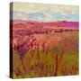 Stretched Canvas