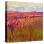 Stretched Canvas