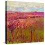 Stretched Canvas