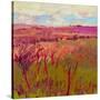 Stretched Canvas