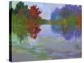 Stretched Canvas