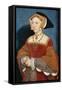 Jane Seymour, Queen of England-Hans Holbein the Younger-Framed Stretched Canvas