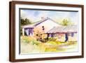Brown Frame