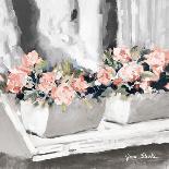 Pink Floral Window-Jane Slivka-Art Print