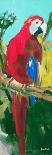 Tropic Parrots II-Jane Slivka-Art Print