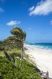 Beach near Nippers Bar, Great Guana Cay, Abaco Islands, Bahamas, West Indies, Central America-Jane Sweeney-Photographic Print