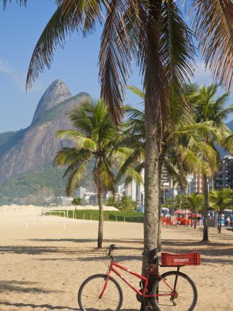 Brazil, Rio De Janeiro, Leblon Beach, Bike Leaning on Palm Tree