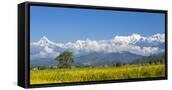 Canvas Black