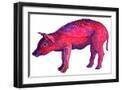 Black Frame