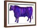 Brown Frame