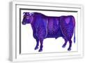 White Frame